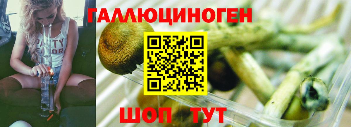 Галлюциногенные грибы ЛСД  Вход с VPN  Коряжма 